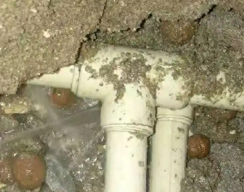 林州测漏水多少钱