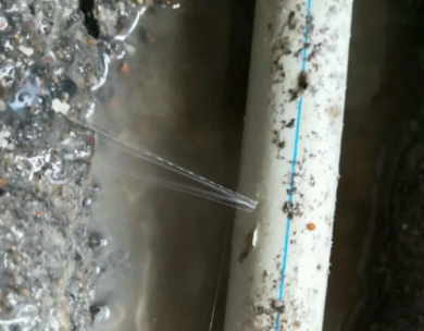 林州测漏水哪家好