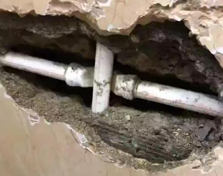 林州测漏水哪家好