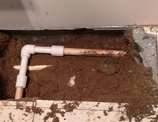 林州测漏水哪家好