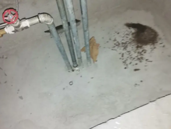 林州卫生间测漏水价格明细