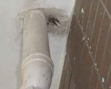 林州漏水检测哪家好